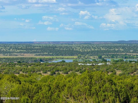 Tiny photo for 8063 Mustang Ln 10 Acres LN, Show Low, AZ 85901 (MLS # 262612)