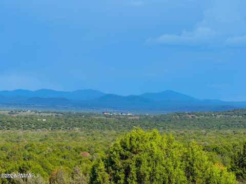 Tiny photo for 8063 Mustang Ln 10 Acres LN, Show Low, AZ 85901 (MLS # 262612)