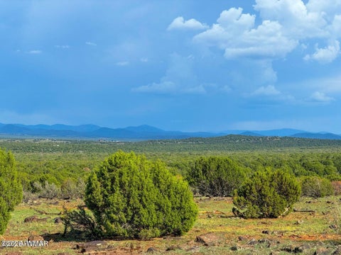 Tiny photo for 8063 Mustang Ln 10 Acres LN, Show Low, AZ 85901 (MLS # 262612)