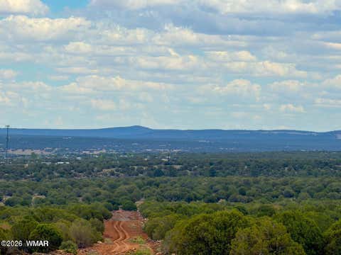 Tiny photo for 8063 Mustang Ln 10 Acres LN, Show Low, AZ 85901 (MLS # 262612)