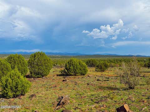 Tiny photo for 8063 Mustang Ln 10 Acres LN, Show Low, AZ 85901 (MLS # 262612)