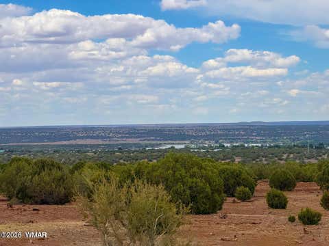 Tiny photo for 8063 Mustang Ln 10 Acres LN, Show Low, AZ 85901 (MLS # 262612)