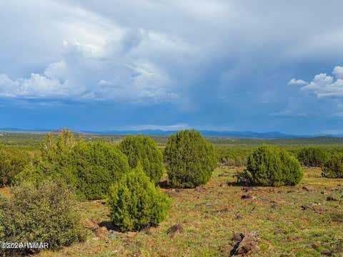 Tiny photo for 8063 Mustang Ln 10 Acres LN, Show Low, AZ 85901 (MLS # 262612)