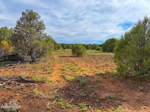 Tiny photo for 8063 Mustang Ln 10 Acres LN, Show Low, AZ 85901 (MLS # 262612)