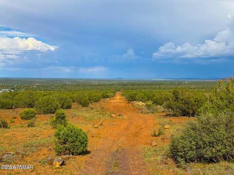Tiny photo for 8063 Mustang Ln 10 Acres LN, Show Low, AZ 85901 (MLS # 262612)