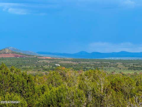 Tiny photo for 8063 Mustang Ln 10 Acres LN, Show Low, AZ 85901 (MLS # 262612)