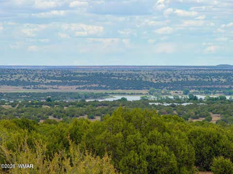 Photo of 8063 Mustang Ln 10 Acres LN, Show Low, AZ 85901 (MLS # 262612)