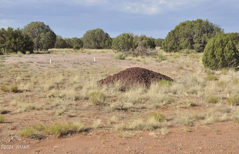 Tiny photo for 4500 Mountain View Road, Snowflake, AZ 85937 (MLS # 252187)