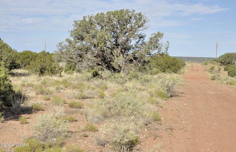 Tiny photo for 4500 Mountain View Road, Snowflake, AZ 85937 (MLS # 252187)