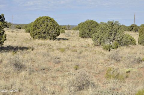 Tiny photo for 4500 Mountain View Road, Snowflake, AZ 85937 (MLS # 252187)