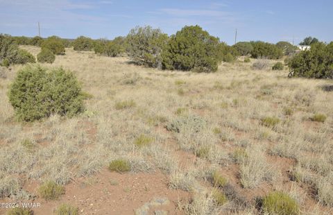 Tiny photo for 4500 Mountain View Road, Snowflake, AZ 85937 (MLS # 252187)