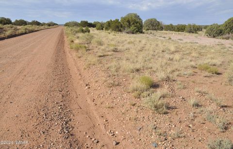 Tiny photo for 4500 Mountain View Road, Snowflake, AZ 85937 (MLS # 252187)