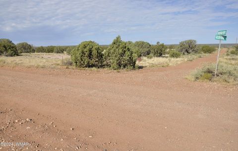 Tiny photo for 4500 Mountain View Road, Snowflake, AZ 85937 (MLS # 252187)