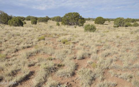 Tiny photo for 4500 Mountain View Road, Snowflake, AZ 85937 (MLS # 252187)