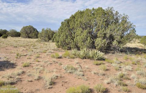 Tiny photo for 4500 Mountain View Road, Snowflake, AZ 85937 (MLS # 252187)