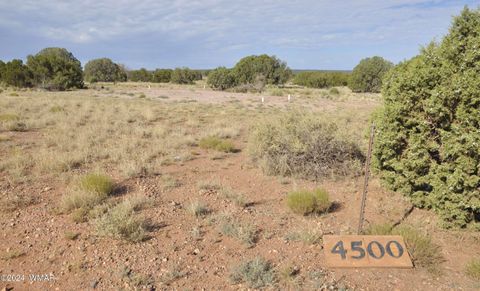 Photo of 4500 Mountain View Road, Snowflake, AZ 85937 (MLS # 252187)