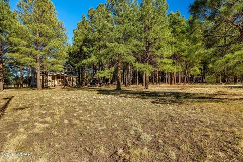 Tiny photo for 24 County Road 2065, Alpine, AZ 85920 (MLS # 256191)