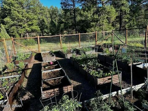 Tiny photo for 4520 W Tatanka Loop, Show Low, AZ 85901 (MLS # 254281)