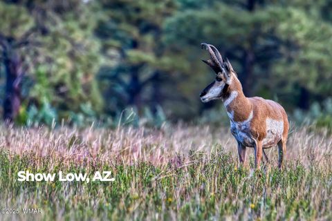 Tiny photo for 4520 W Tatanka Loop, Show Low, AZ 85901 (MLS # 254281)