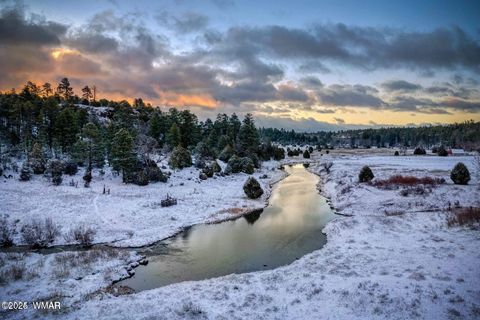 Tiny photo for 4520 W Tatanka Loop, Show Low, AZ 85901 (MLS # 254281)