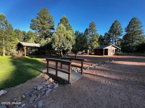 Tiny photo for 4520 W Tatanka Loop, Show Low, AZ 85901 (MLS # 254281)
