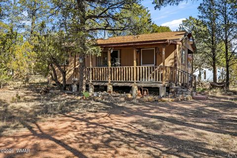 Photo of 3471 Evergreen Drive, Overgaard, AZ 85933 (MLS # 259365)