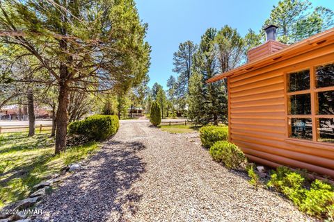 Tiny photo for 3396 Navajo Drive, Overgaard, AZ 85933 (MLS # 257964)