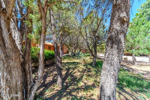 Tiny photo for 3396 Navajo Drive, Overgaard, AZ 85933 (MLS # 257964)