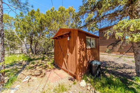 Tiny photo for 3396 Navajo Drive, Overgaard, AZ 85933 (MLS # 257964)