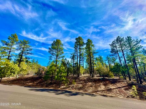 Photo of 321 W Aspen Trail, Show Low, AZ 85901 (MLS # 259809)