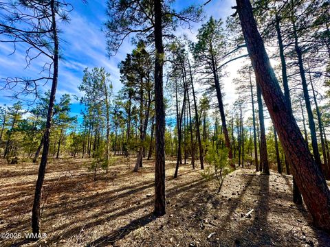 Tiny photo for 321 W Aspen Trail, Show Low, AZ 85901 (MLS # 259809)