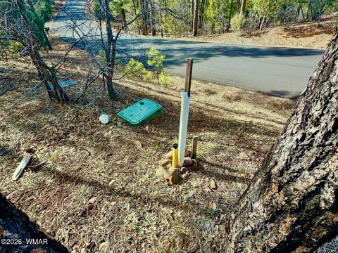 Tiny photo for 321 W Aspen Trail, Show Low, AZ 85901 (MLS # 259809)