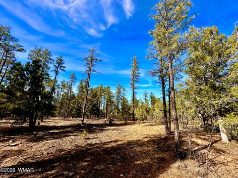 Tiny photo for 321 W Aspen Trail, Show Low, AZ 85901 (MLS # 259809)