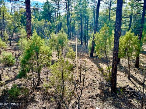 Tiny photo for 321 W Aspen Trail, Show Low, AZ 85901 (MLS # 259809)