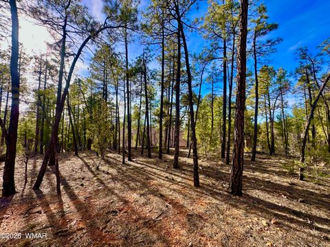 Tiny photo for 321 W Aspen Trail, Show Low, AZ 85901 (MLS # 259809)