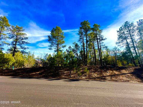 Tiny photo for 321 W Aspen Trail, Show Low, AZ 85901 (MLS # 259809)