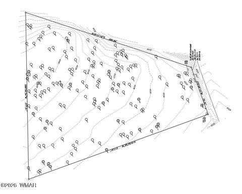 Tiny photo for 321 W Aspen Trail, Show Low, AZ 85901 (MLS # 259809)