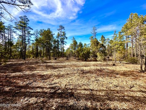 Tiny photo for 321 W Aspen Trail, Show Low, AZ 85901 (MLS # 259809)