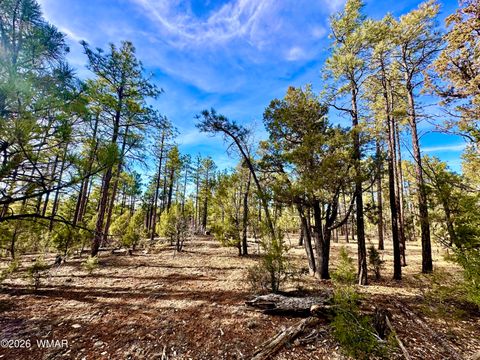 Tiny photo for 321 W Aspen Trail, Show Low, AZ 85901 (MLS # 259809)