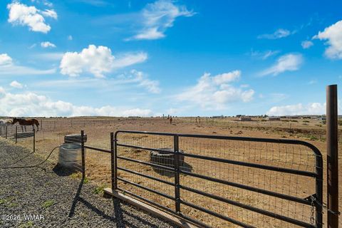 Tiny photo for 660 S Foothills Boulevard, Taylor, AZ 85939 (MLS # 260808)