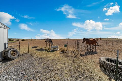 Tiny photo for 660 S Foothills Boulevard, Taylor, AZ 85939 (MLS # 260808)