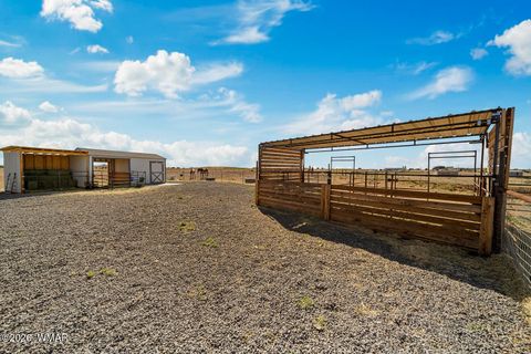 Tiny photo for 660 S Foothills Boulevard, Taylor, AZ 85939 (MLS # 260808)