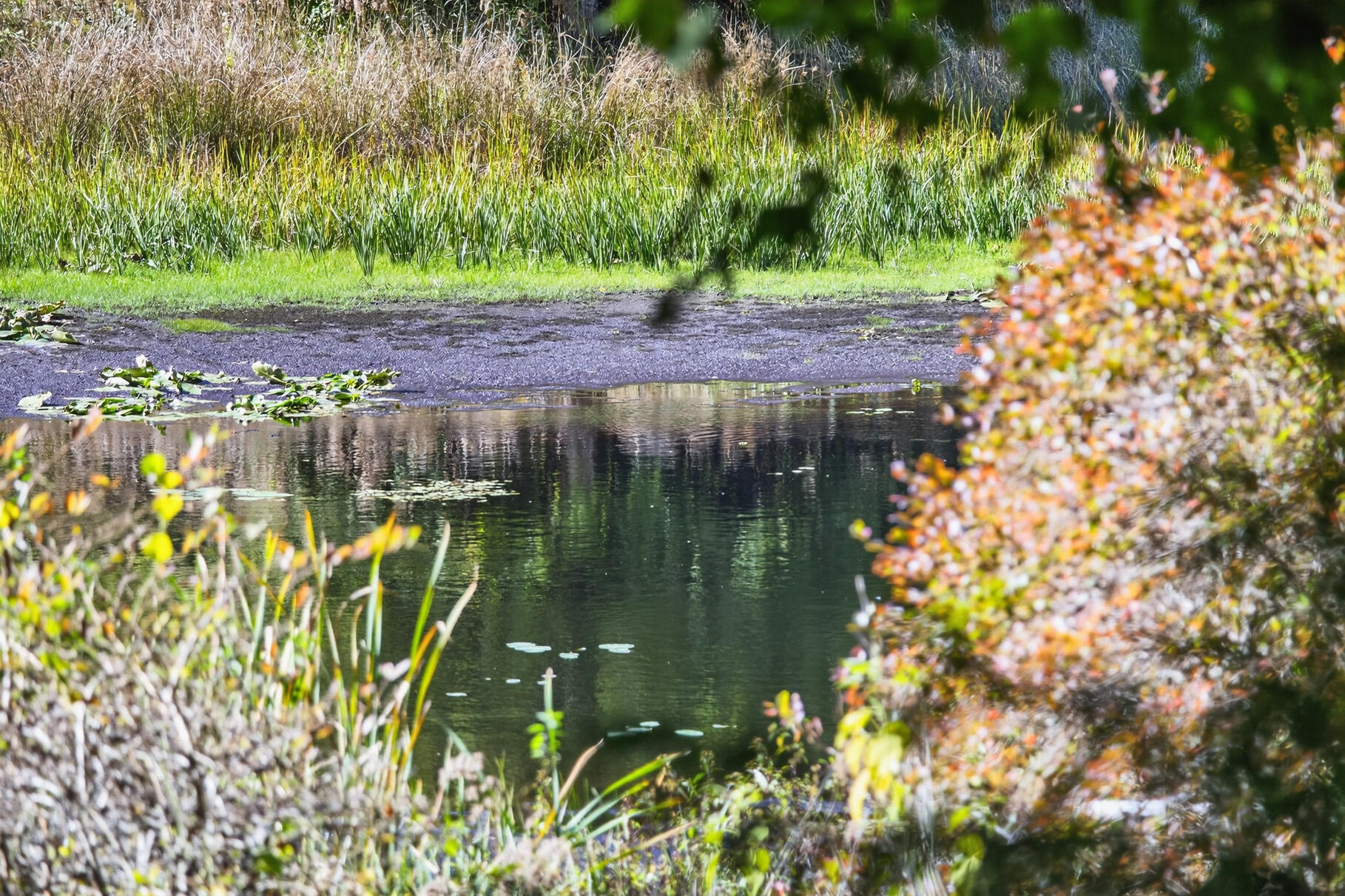 Orleans, Massachusetts 02653, United States, 4 Bedrooms Bedrooms, ,3 BathroomsBathrooms,Residential,Active,224746