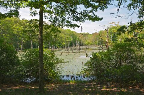 Single Family Residence in Brewster MA 17 Widgeon Way 82.jpg