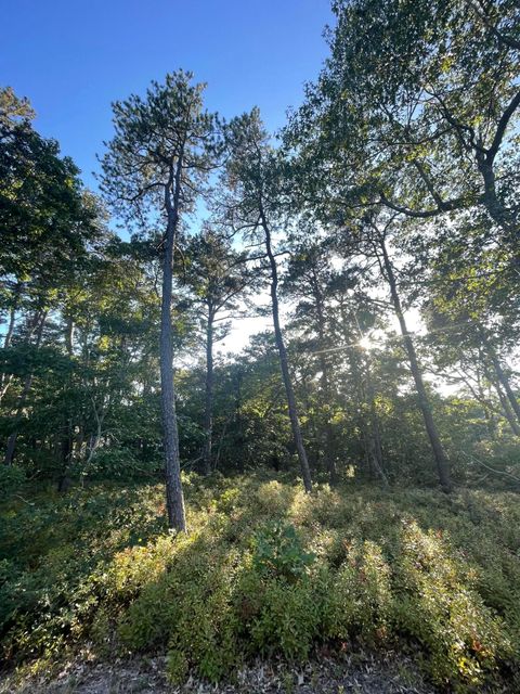 Photo of 30 Sam Hollow Road, Wellfleet, MA 02667 (MLS # 22600441)