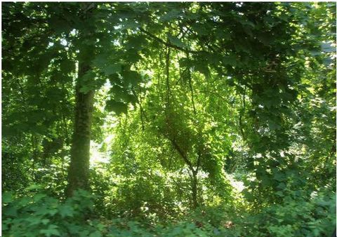 Photo of 0 Sidney Street, Falmouth, MA 02540 (MLS # 22600133)