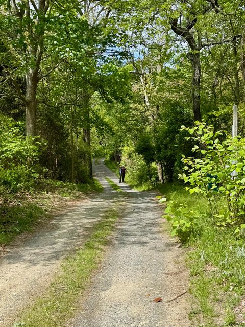 Photo of 31 Monument Road, Orleans, MA 02653 (MLS # 22502301)