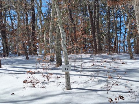 Photo of 37 Oak Valley Road, Wellfleet, MA 02667 (MLS # 22600379)