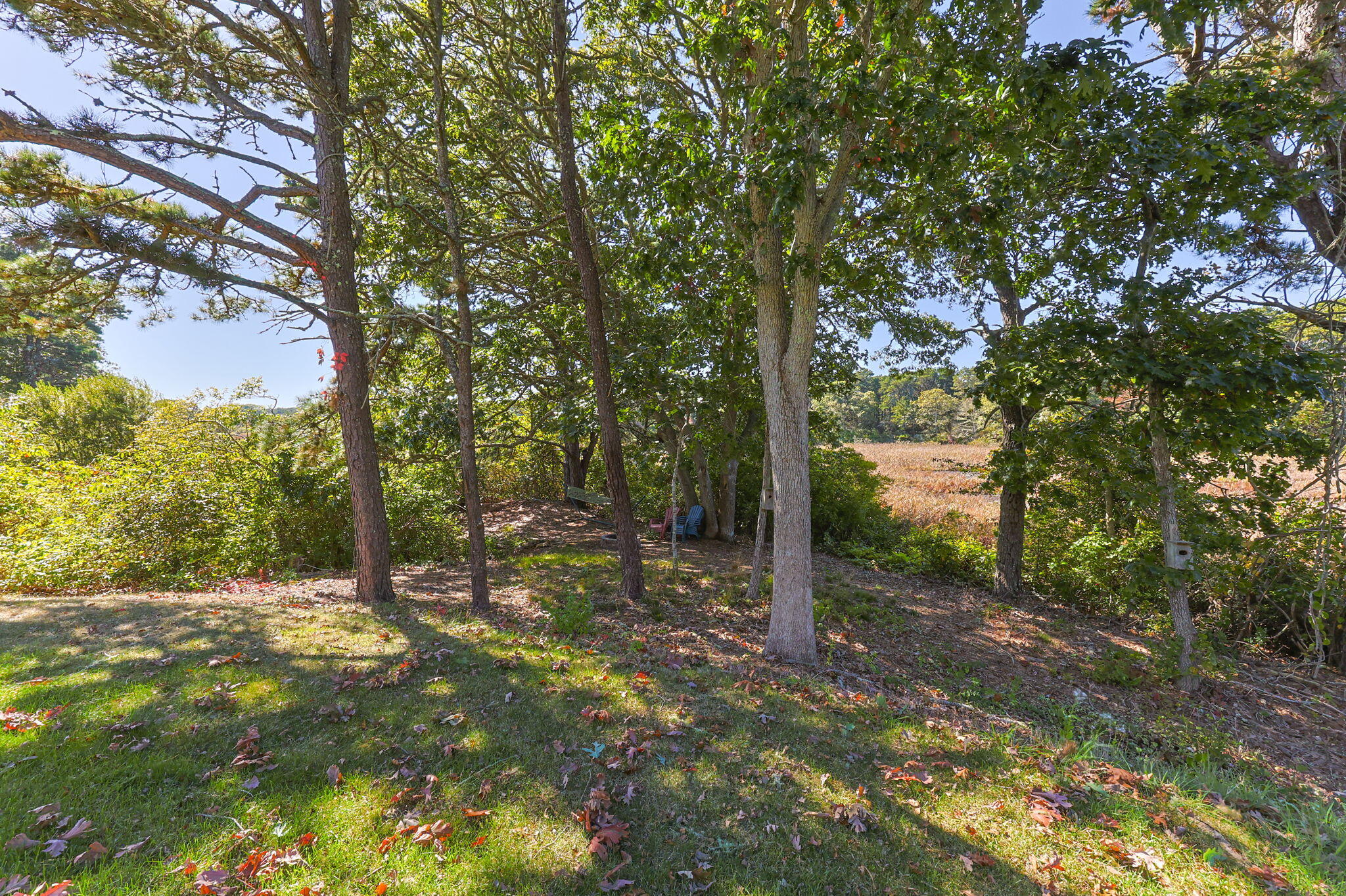 Chatham, Massachusetts 02633, United States, 1 Bedroom Bedrooms, ,1 BathroomBathrooms,Residential,Active,221462