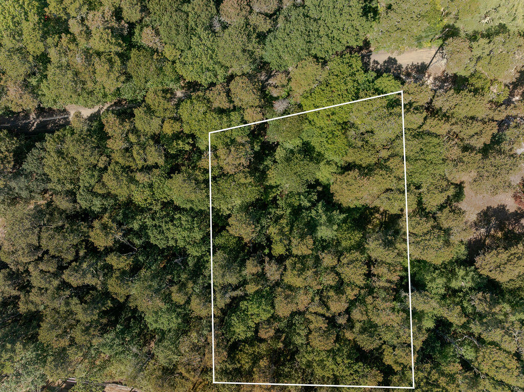 Wellfleet, Massachusetts 02667, United States, ,Land,Active,211565